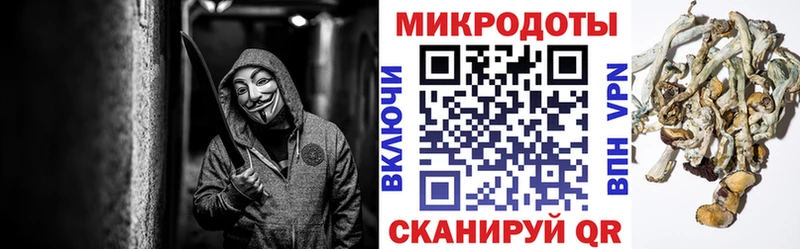 MEGA рабочий сайт  Полтавская  Псилоцибиновые грибы Psilocybe 